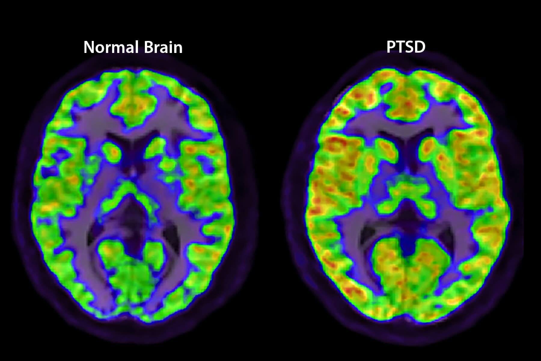 How and Behavioral Conditions Affect the